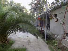 Agrogarden Batumi